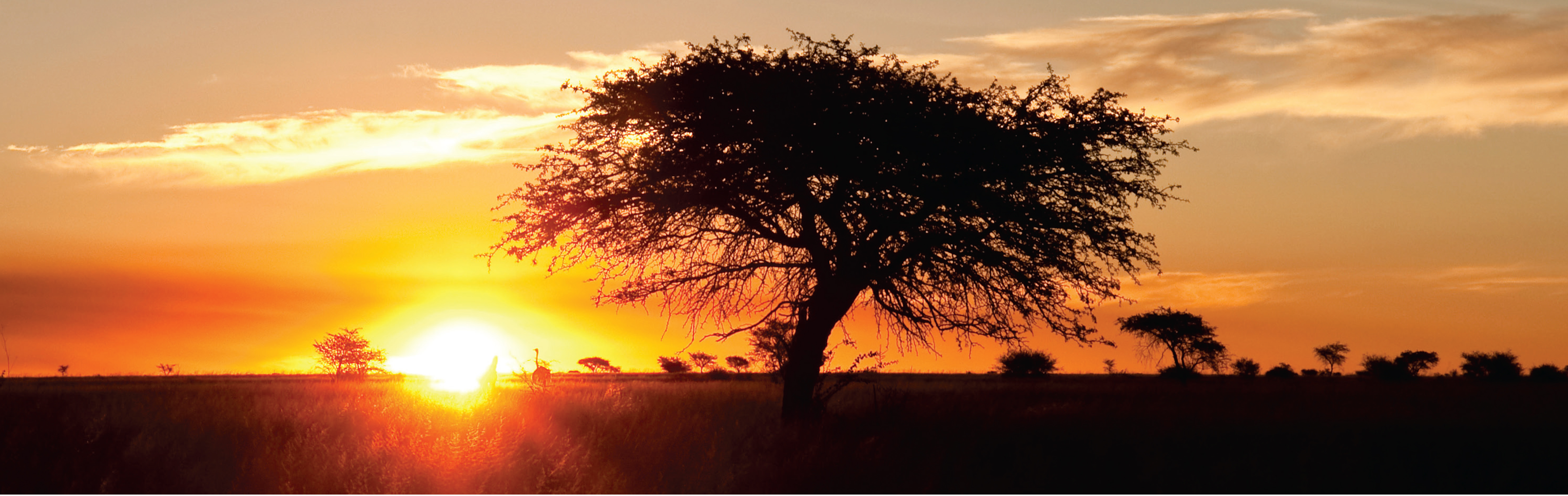 Welcome to Mpumalanga Department of Social Development's Official Website.